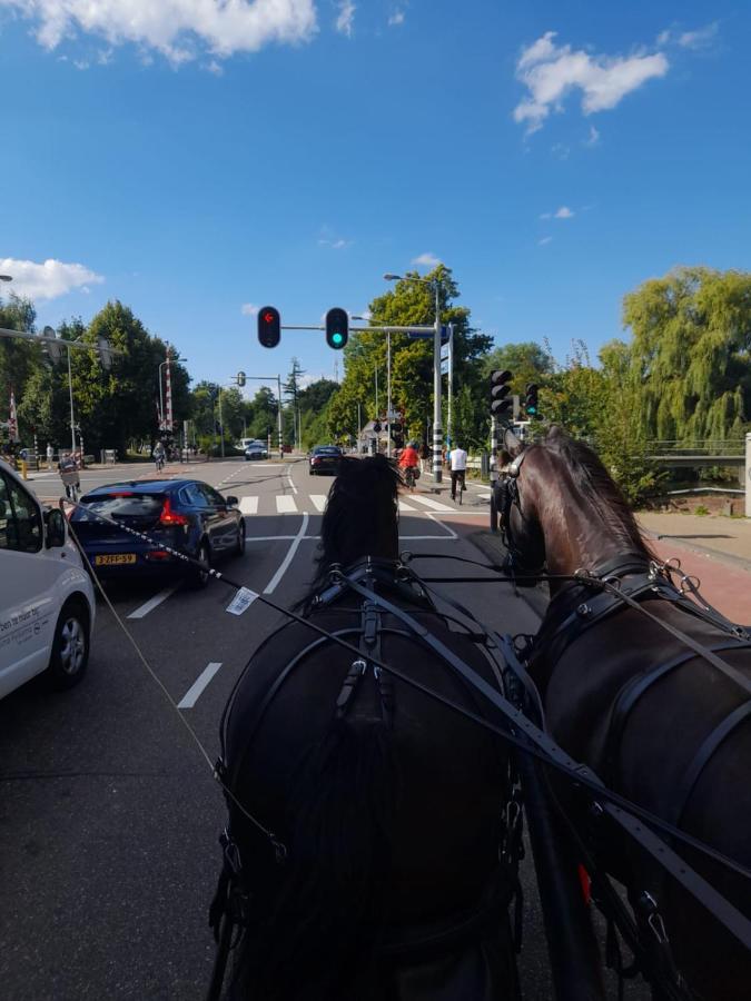 De Huifkar, Trekkershut Bij Sneek Hommerts Exterior foto