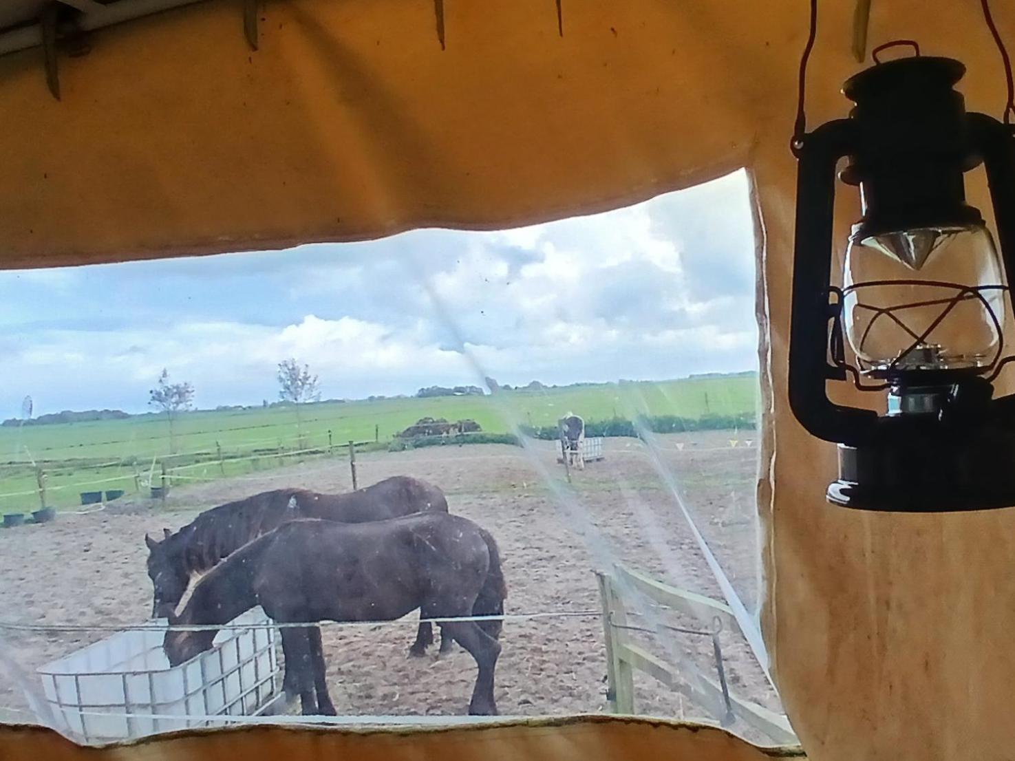 De Huifkar, Trekkershut Bij Sneek Hommerts Exterior foto