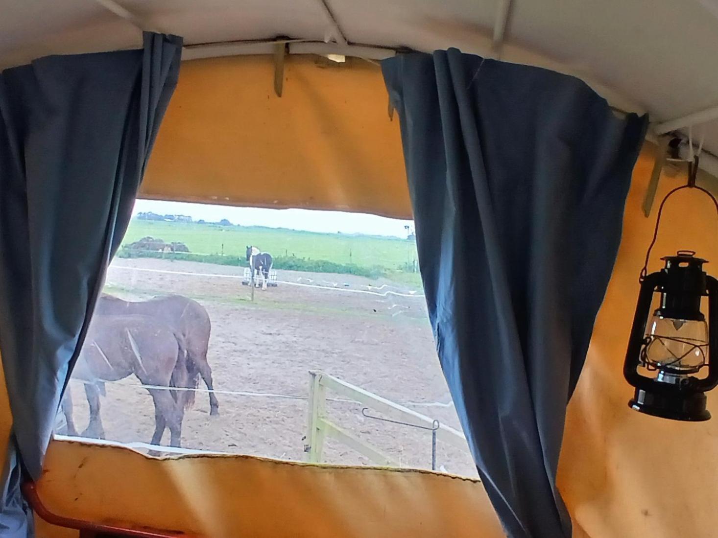 De Huifkar, Trekkershut Bij Sneek Hommerts Exterior foto